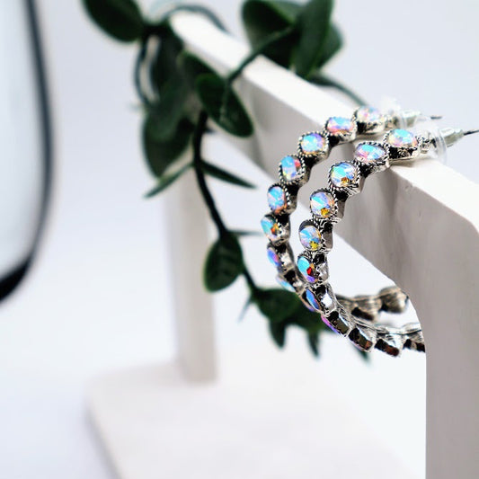 Silver hoop earrings with gemstones on a white stand with green leaves in the background