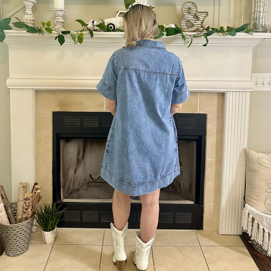Ayleen Relaxed Denim Dress